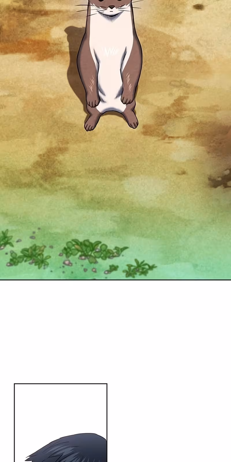 Página do Capítulo 75