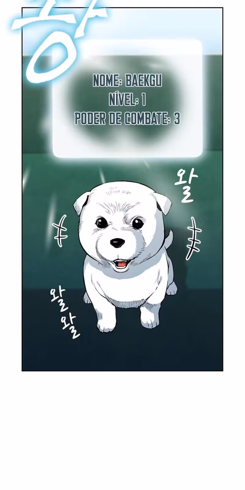 Página do Capítulo 12