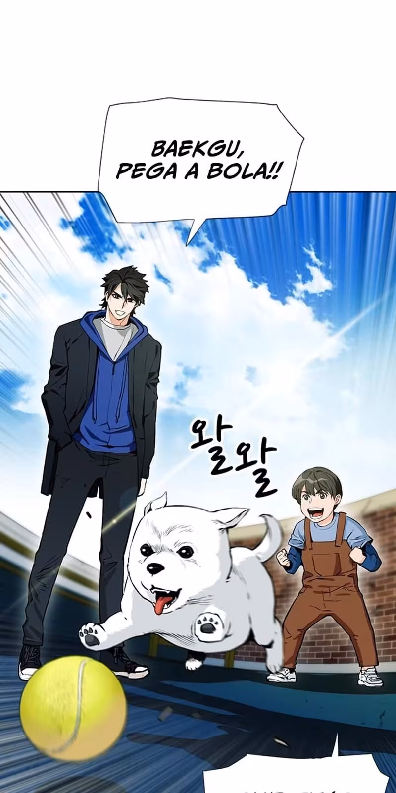 Página do Capítulo 12