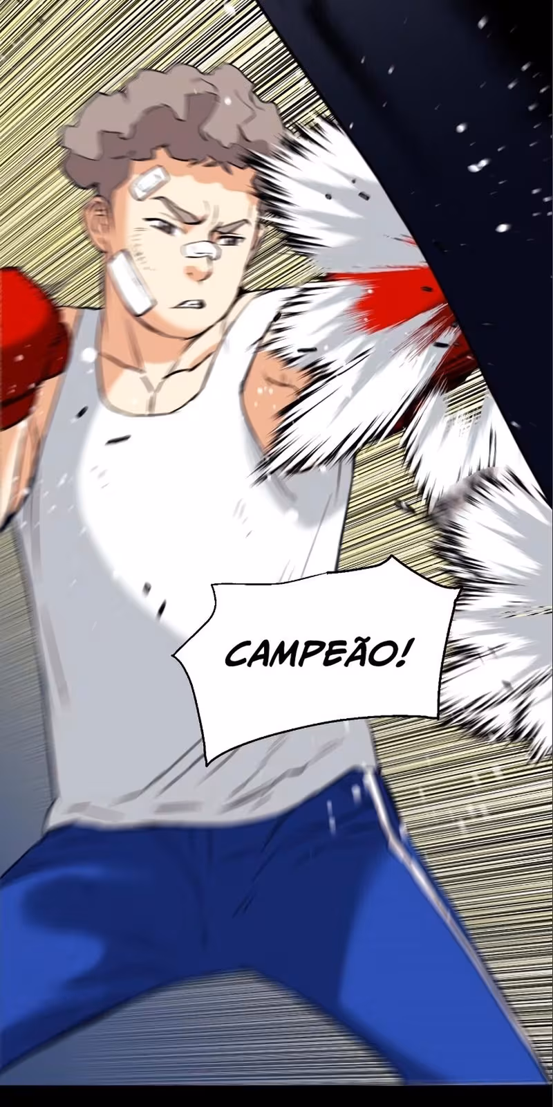 Página do Capítulo 17