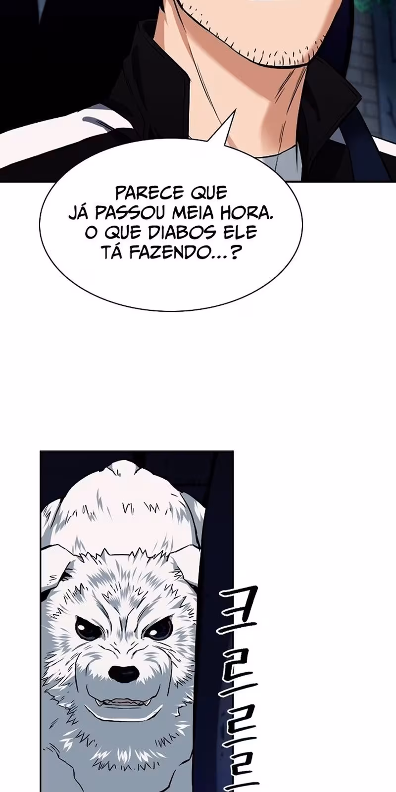 Página do Capítulo 20