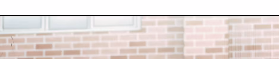 Página do Capítulo 44