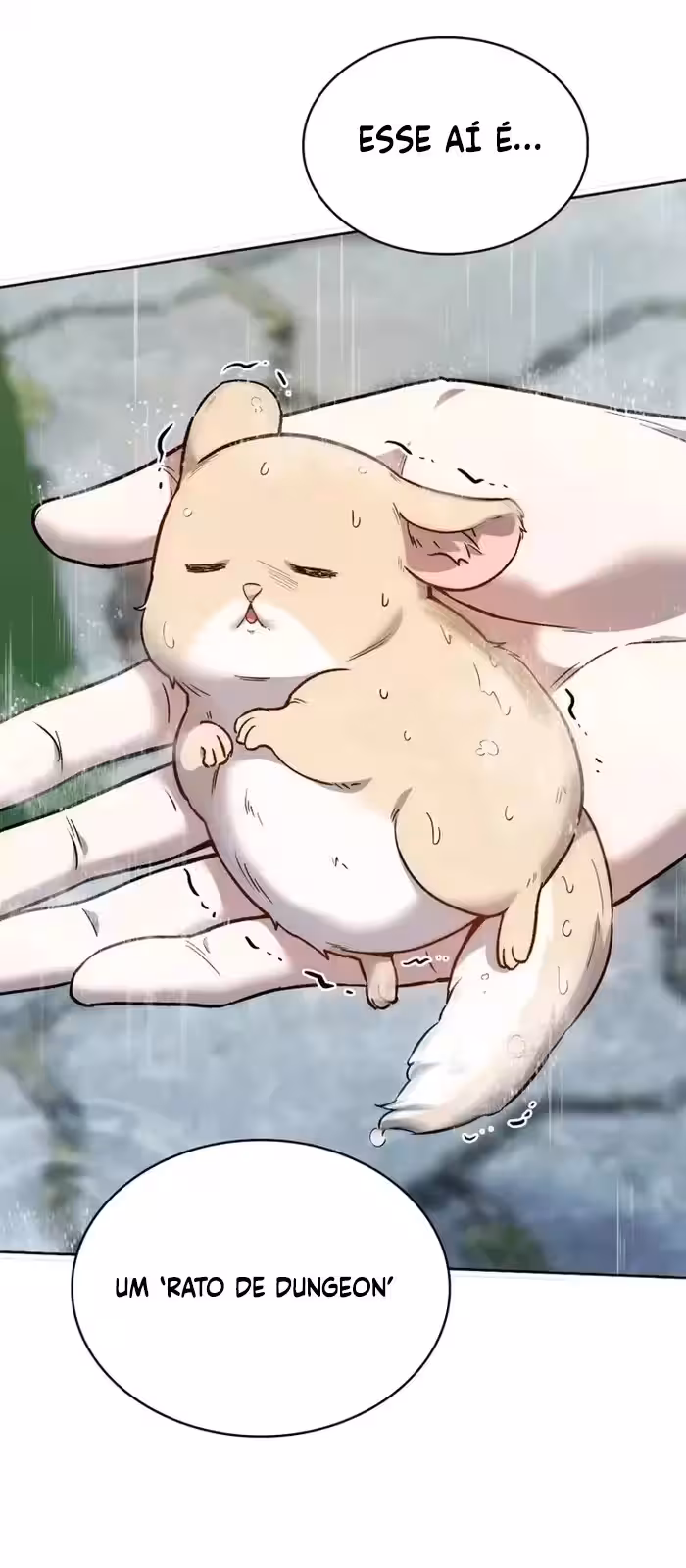 Página do Capítulo 09