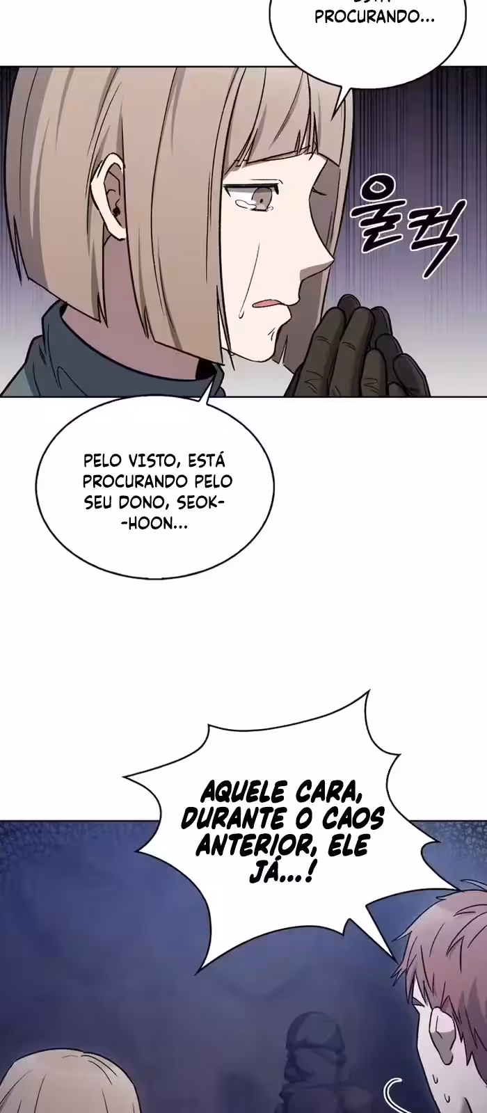 Página do Capítulo 11