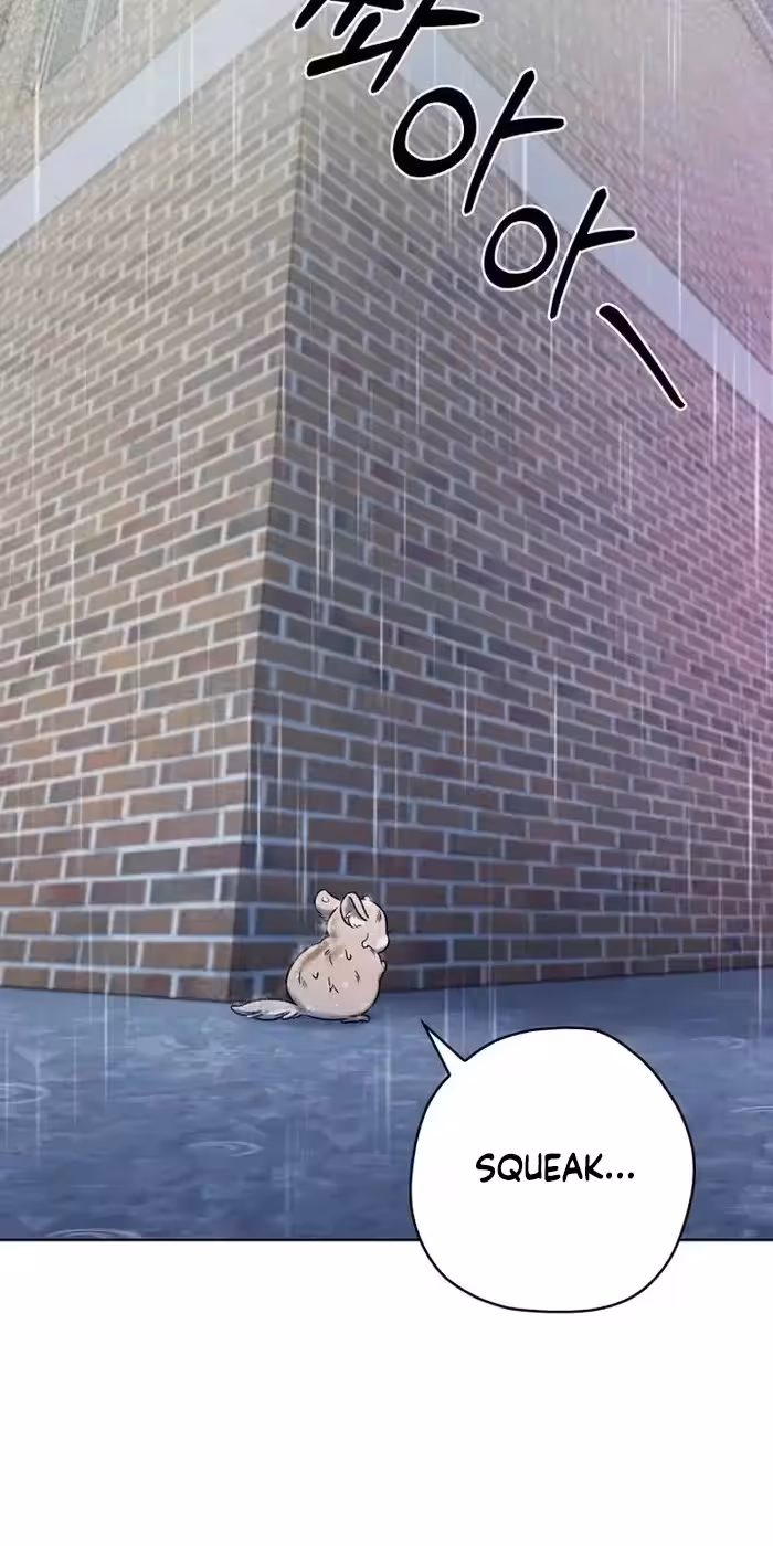 Página do Capítulo 11