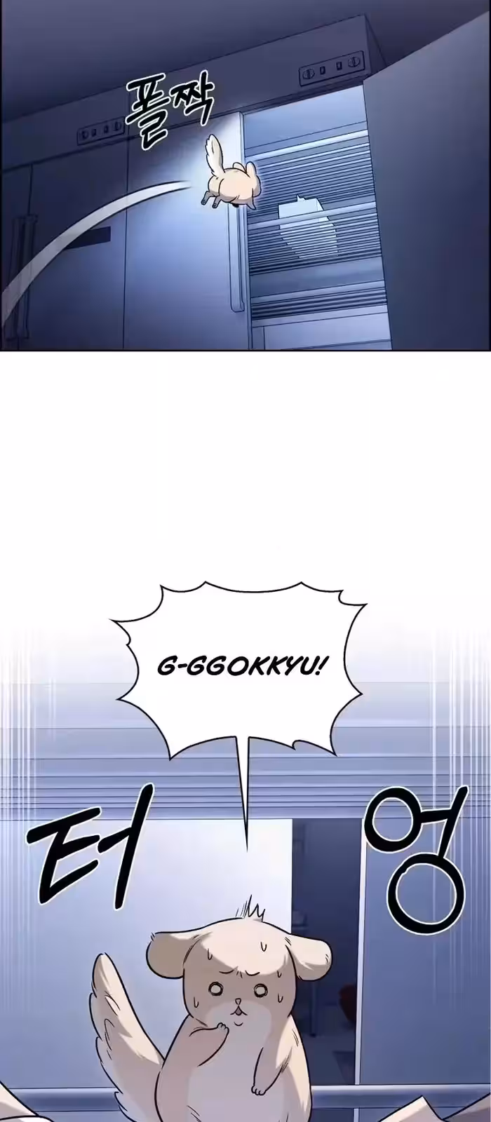 Página do Capítulo 15