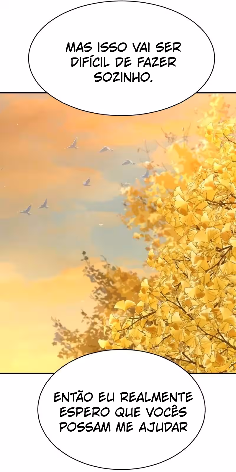 Página do Capítulo 08