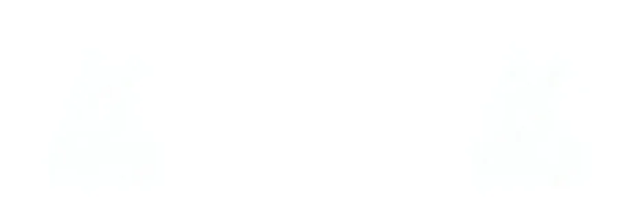 Página do Capítulo 60