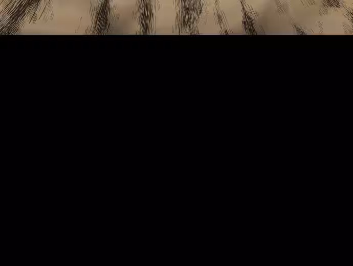 Página do Capítulo 27