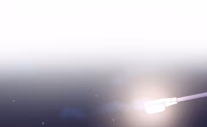 Página do Capítulo 29