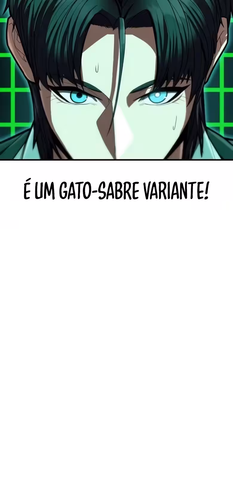Página do Capítulo 11
