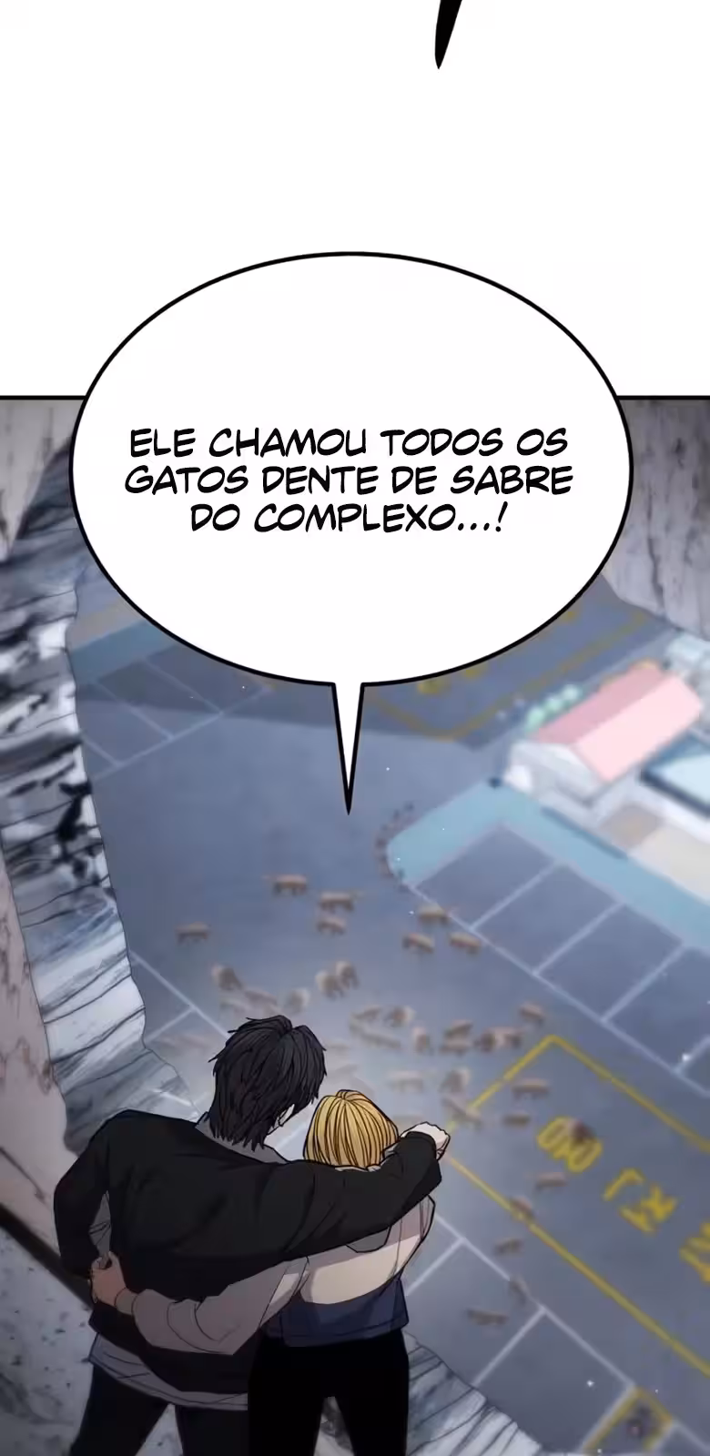 Página do Capítulo 11