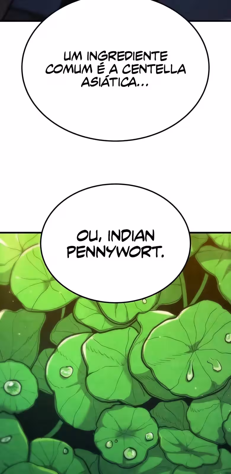 Página do Capítulo 14